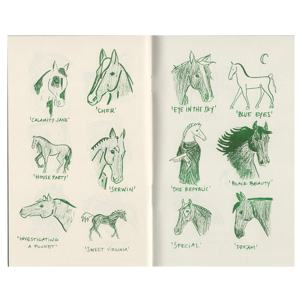 An open spread of the zine, risograph printed in green ink on cream paper. On each page are 6 unique illustrations of horses, some only showing the heads, some full body, all with different shading and coats. Each has a name, including “Cher”, “The Republic”, and “blue eyes” 