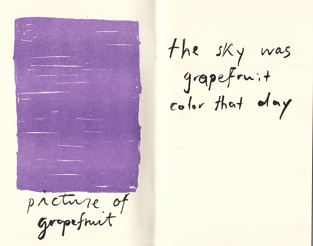 An open spread of the zine. On the left side a large purple rectangular block of color sits above black handwritting that reads "picture of a grapefruit". On the right page three lines of handwritten text scrawl across the upper potion of the page reading "the sky was grapefruit color that day".